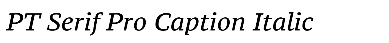 PT Serif Pro Caption Italic image